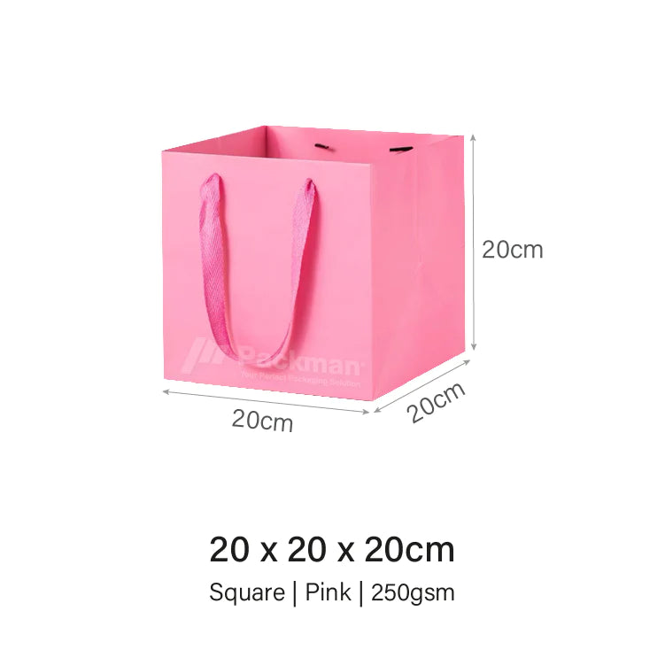 Coloured Rope Pink Paper Bag