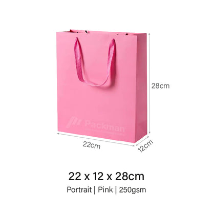 Coloured Rope Pink Paper Bag