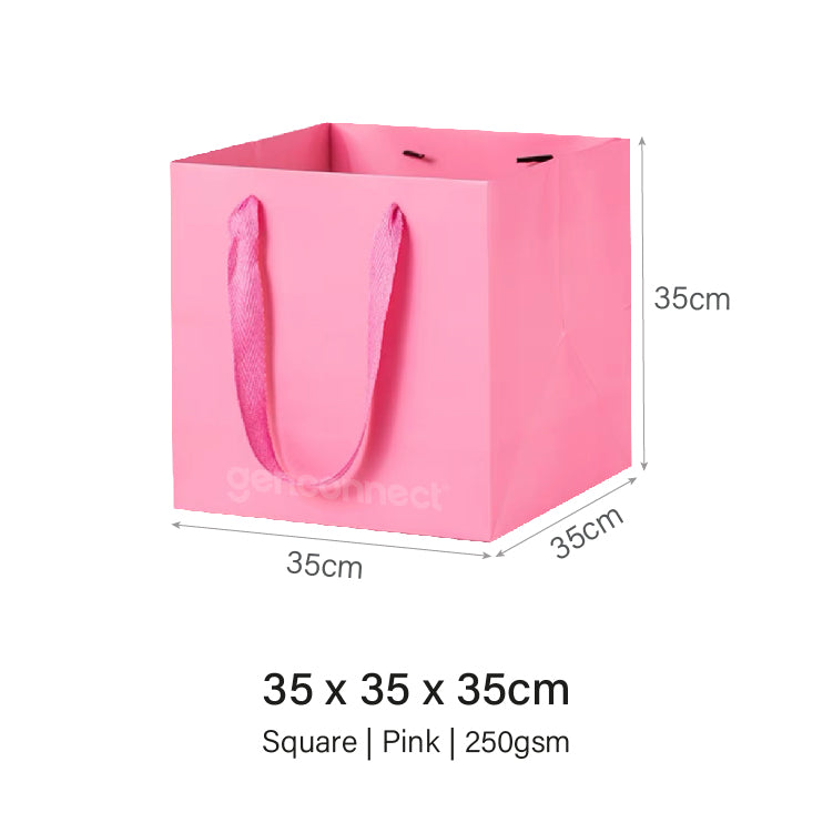 Coloured Rope Pink Paper Bag