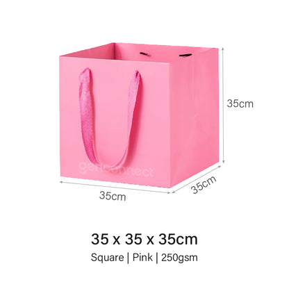 Coloured Rope Pink Paper Bag