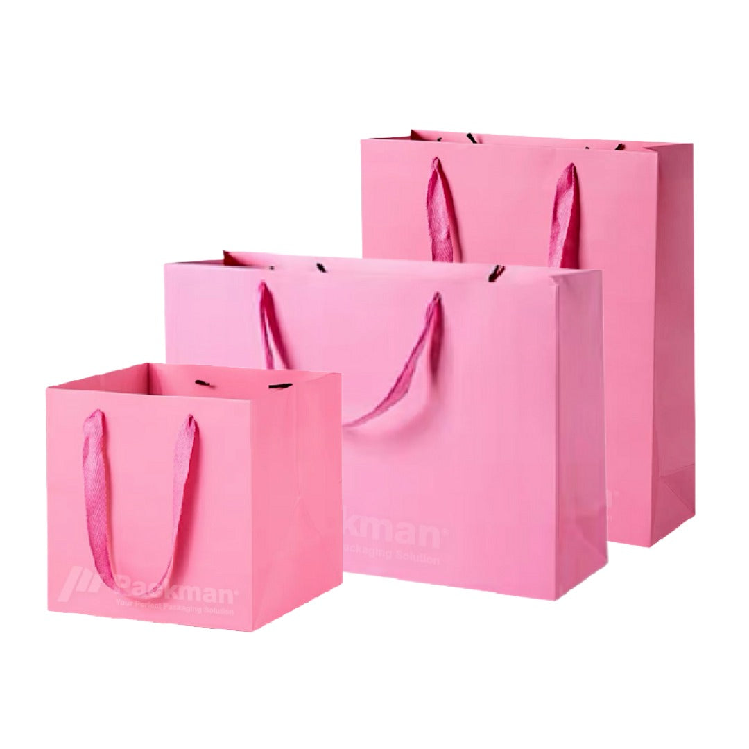 Coloured Rope Pink Paper Bag