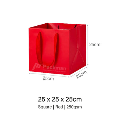 Coloured Rope Red Paper Bag
