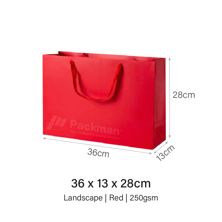Coloured Rope Red Paper Bag