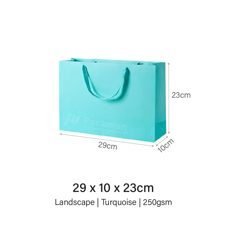 Coloured Rope Turquoise Paper Bag