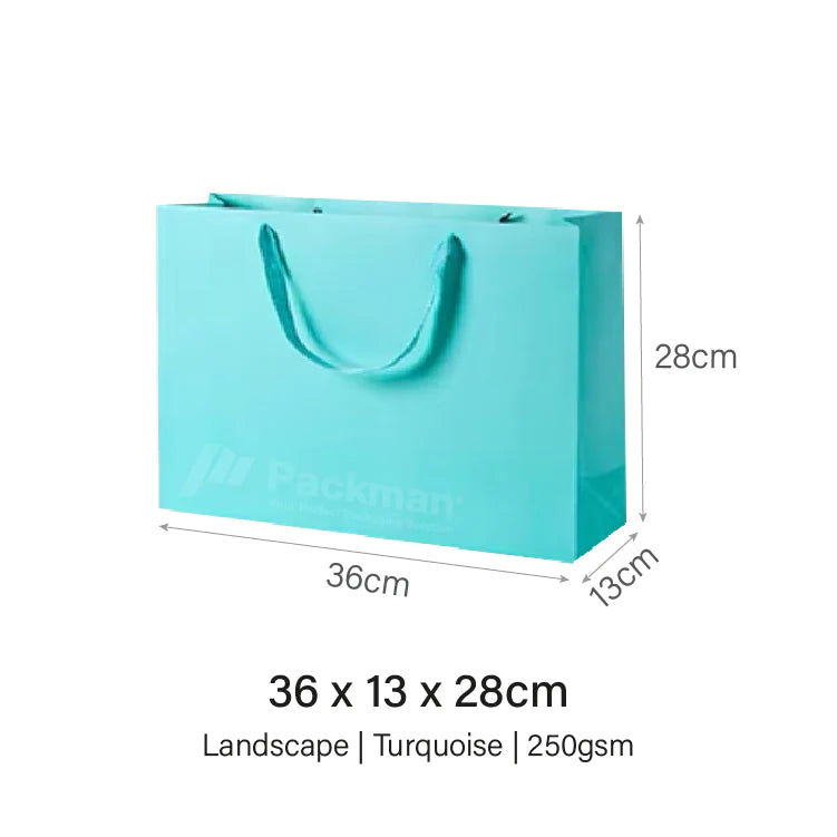 Coloured Rope Turquoise Paper Bag