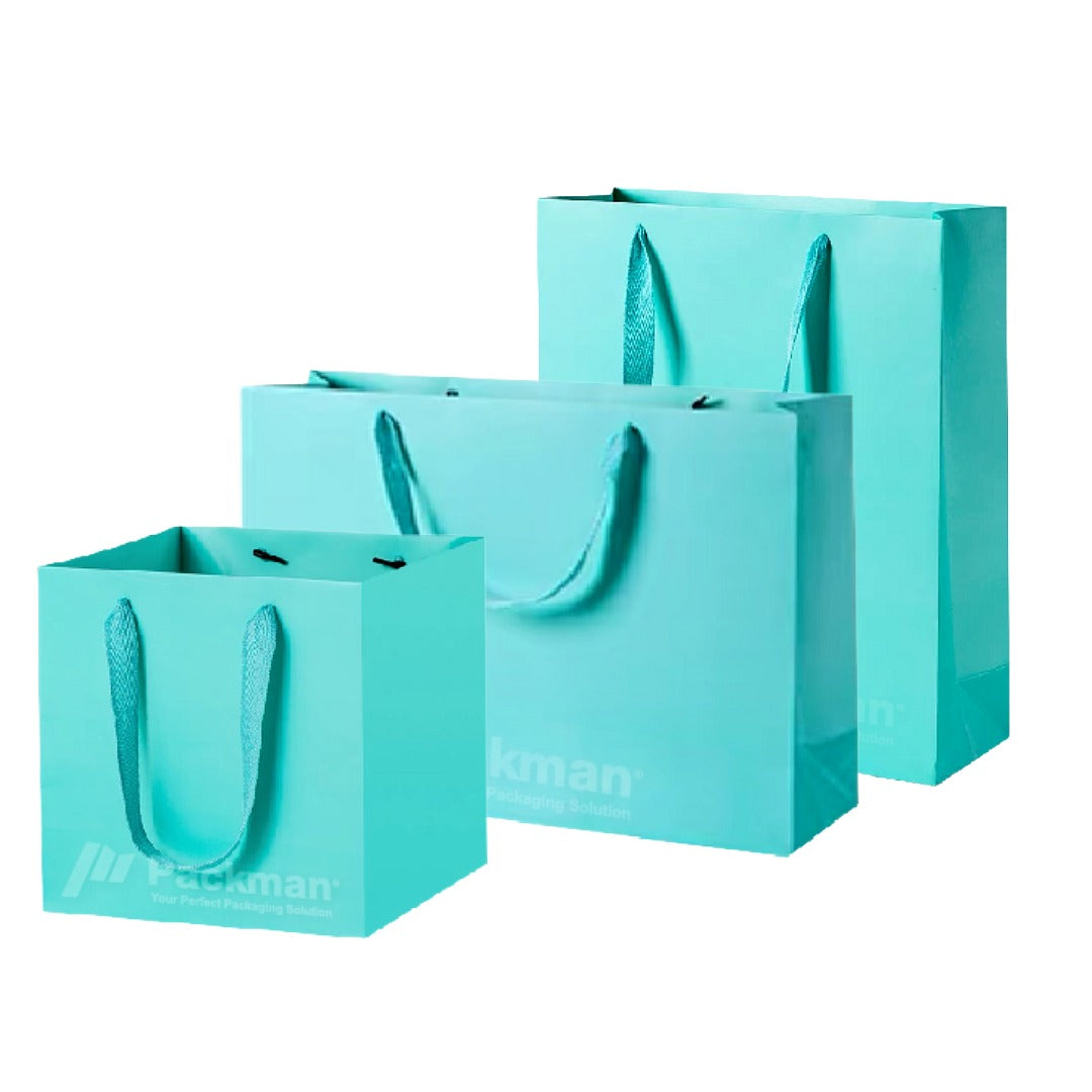 Coloured Rope Turquoise Paper Bag