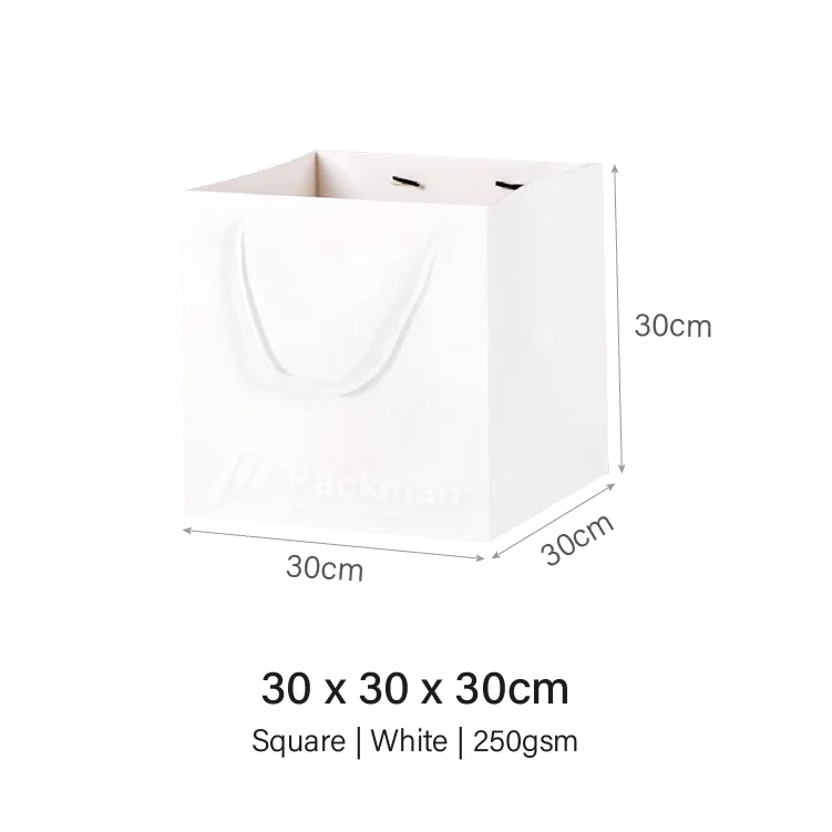 Coloured Rope White Paper Bag