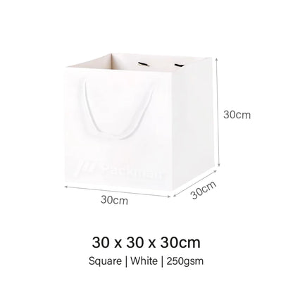 Coloured Rope White Paper Bag