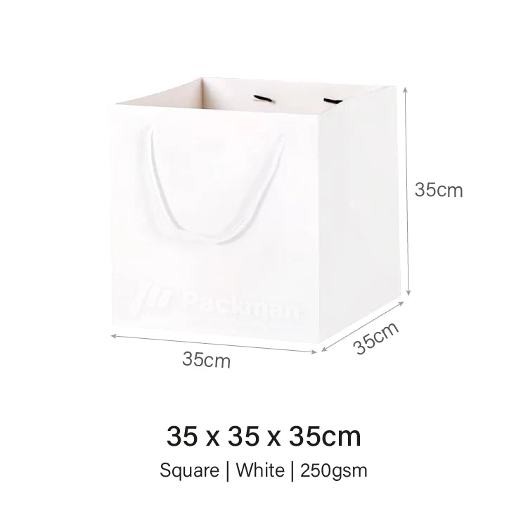 Coloured Rope White Paper Bag