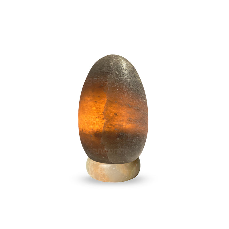 Dino Egg Himalayan Salt Lamp (Grey)