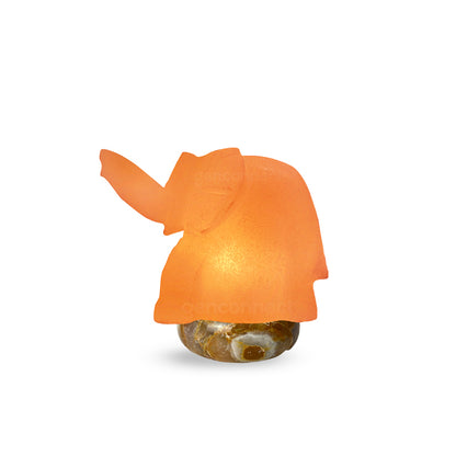 Elephant Himalayan Salt Lamp (Pink)