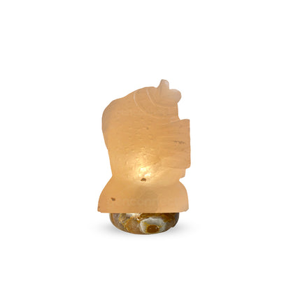 Fish Himalayan Salt Lamp (White)