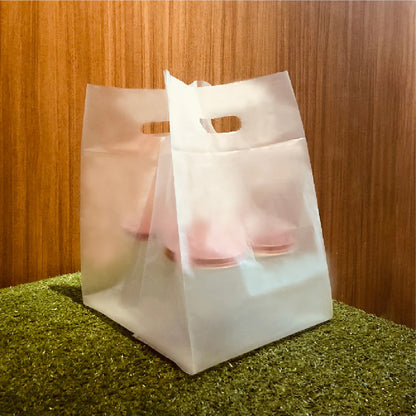 Frosted Square Carrier Bag