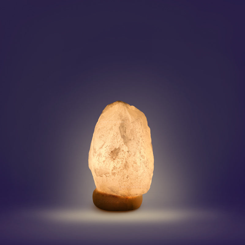 Natural Shape Himalayan Salt Lamp
