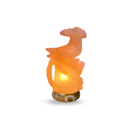 Parrot Himalayan Salt Lamp (Pink)