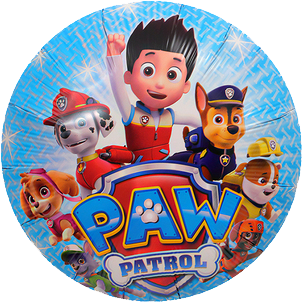Paw Patrol Team