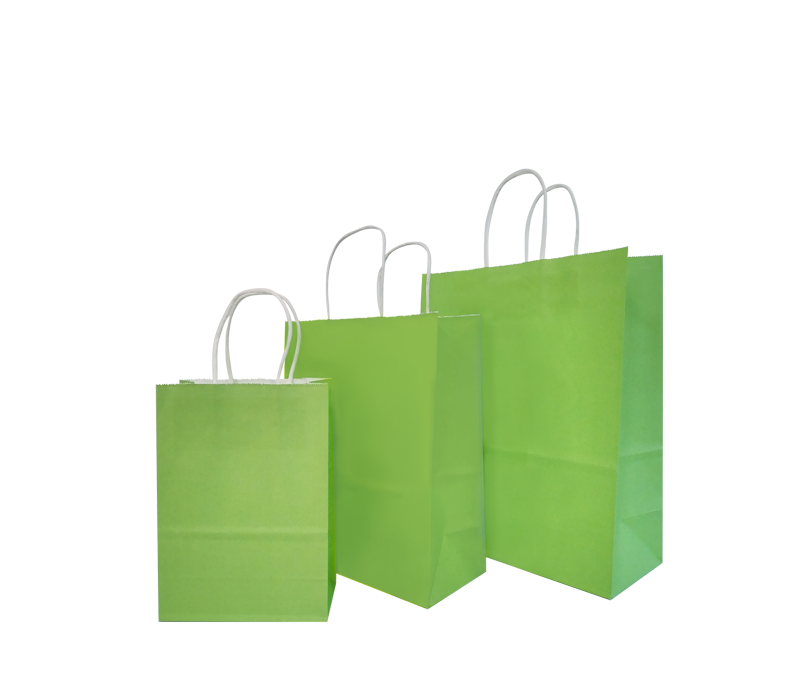 Green Party Gift Bag