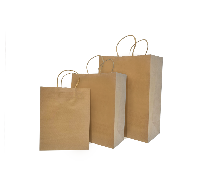 Brown Party Gift Bag