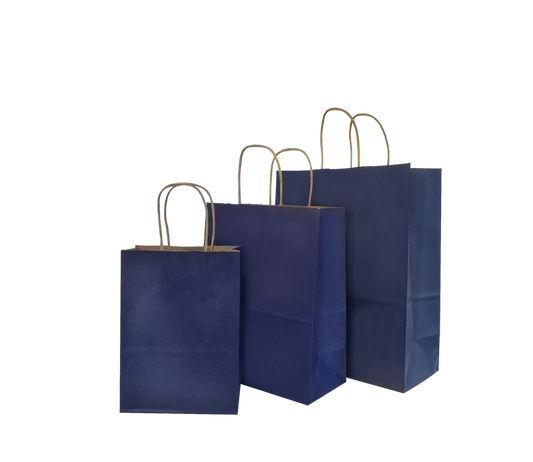 Navy Party Gift Bag