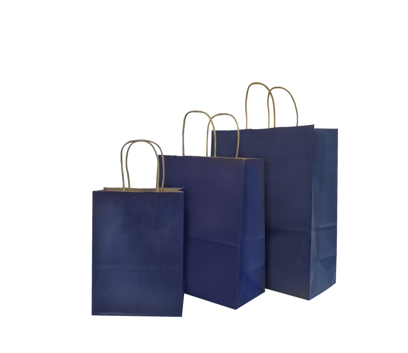 Navy Party Gift Bag