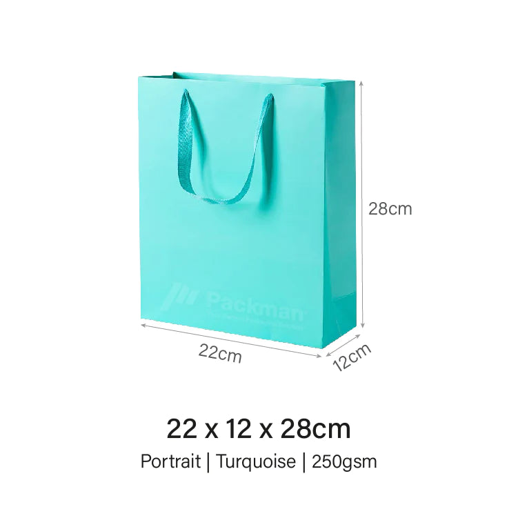 22 x 12 x 28cm Turquoise Paper Bag (10pcs)