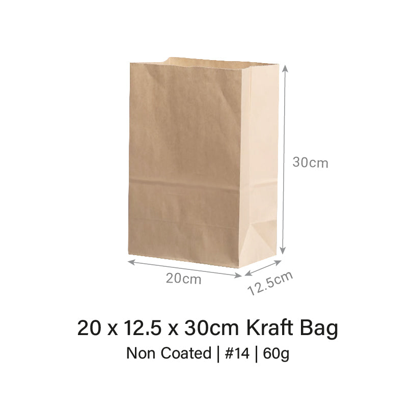 20 x 12.5 x 30cm Kraft Bag