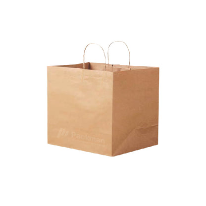 26 x 21.5 x 21.5cm B011 Extra Thick Paper Bag (10pcs)