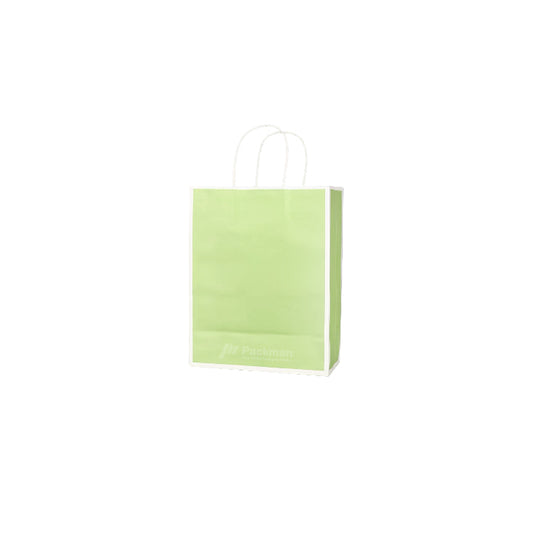 21 x 11 x 27cm Green with White Border Paper Bag (10pcs)