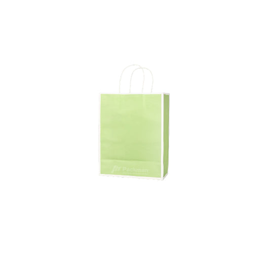 15 x 8 x 21cm Green with White Border Paper Bag (10pcs)