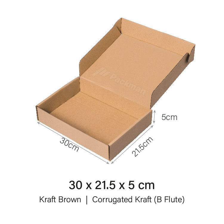 30 x 20.5 x 5cm Kraft Brown Mailing Box