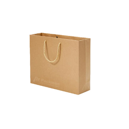 33 x 10 x 27cm L03 Paper Bag (10pcs)