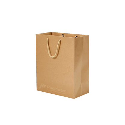 27 x 14 x 33cm P06 Paper Bag (10pcs)