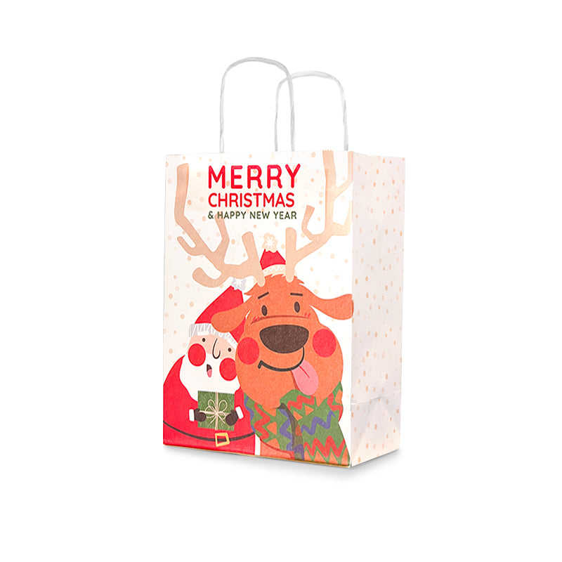 Christmas Gift Bag 2 (10pcs)