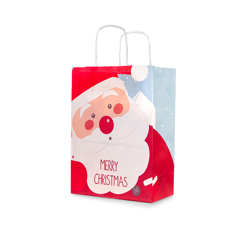 Christmas Gift Bag 3 (10pcs)