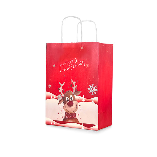 Christmas Gift Bag 8 (10pcs)