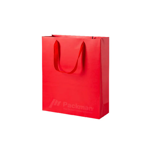 Copy of 22 x 12 x 28cm Red Paper Bag (10pcs)