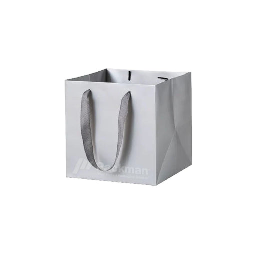 25 x 25 x 25cm Square Silver Paper Bag (10pcs)