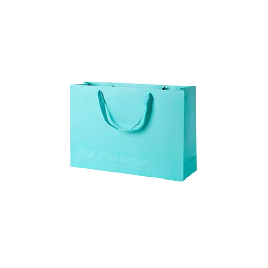 29 x 10 x 23cm Turquoise Paper Bag (10pcs)