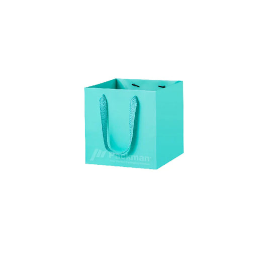 15 x 15 x 15cm Square Turquoise Paper Bag (10pcs)