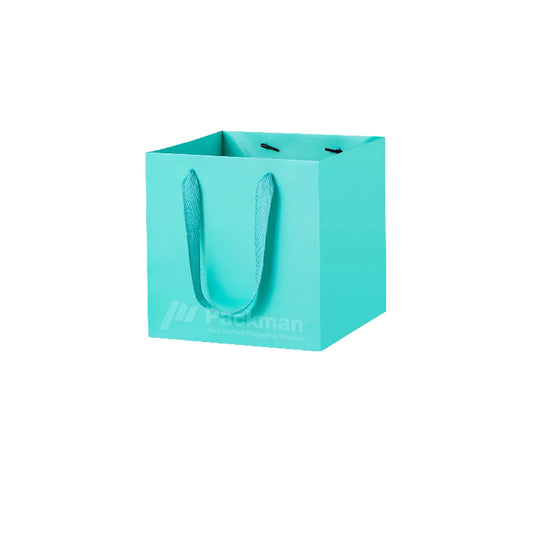 20 x 20 x 20cm Square Turquoise Paper Bag (10pcs)