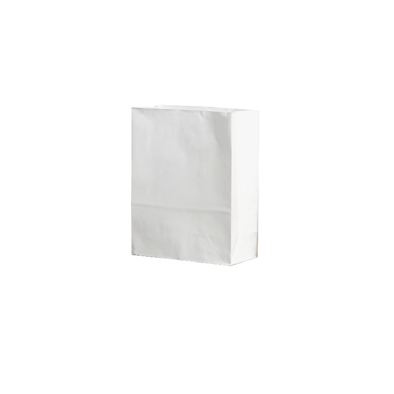 19 x 13.5 x 25cm White Kraft Bag