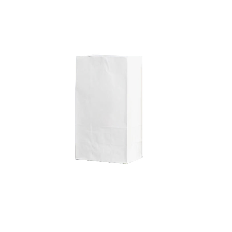 19 x 10 x 32cm White Kraft Bag