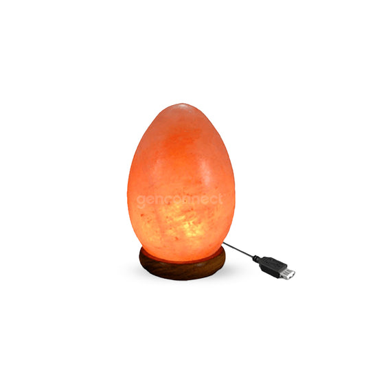 USB Table size Himalayan salt lamp (Egg)