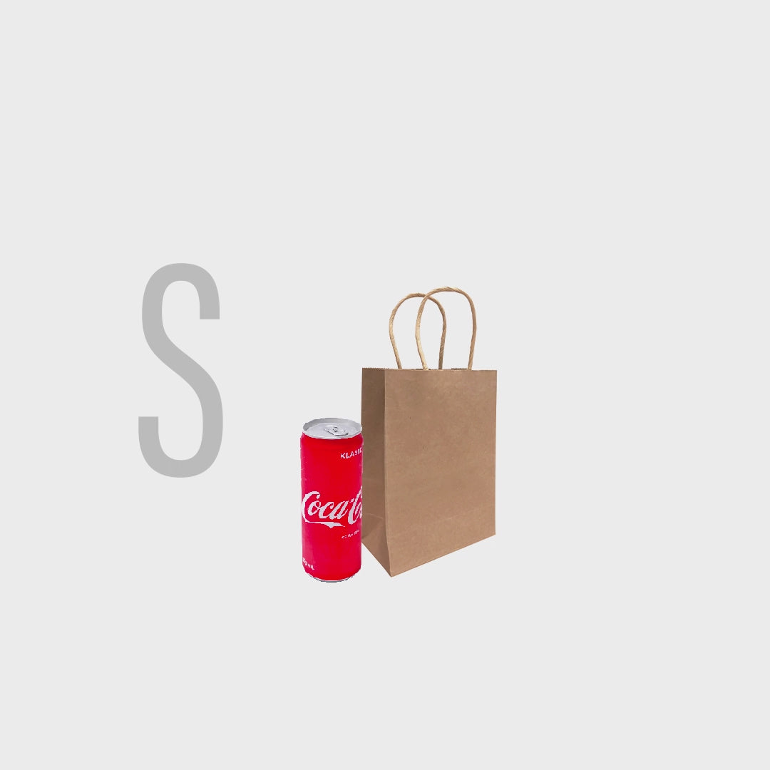 28 x 10 x 20cm L02 Paper Bag (10pcs) – Genconnect